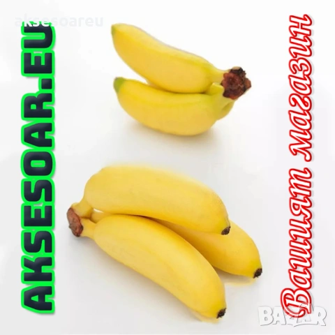 50 бр. Семена от Бонсай бананово дърво екзотични редки плодове палма за декорация на градината, снимка 13 - Сортови семена и луковици - 53258880