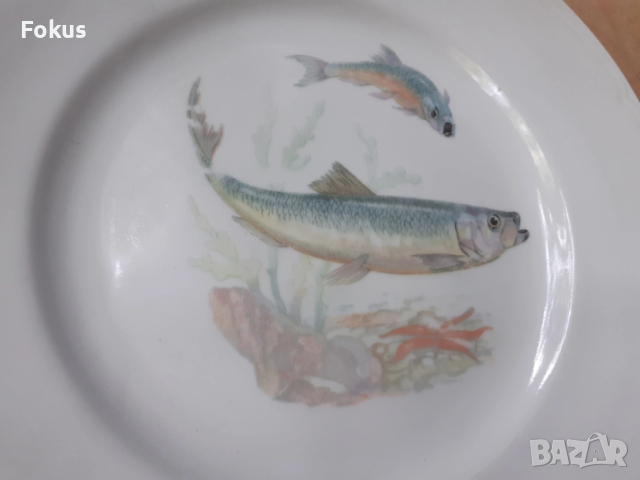 Голяма чиния - български порцелан - 1 бр. с риби, снимка 7 - Антикварни и старинни предмети - 53275060