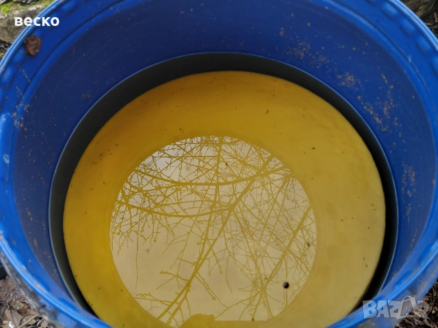 Натурален отлежал 6 годишен оцет с гъба, снимка 2 - Домашни продукти - 53979906