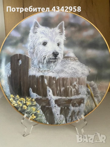 Колекционерска порцеланова чиния за стена от ограничена серия « Westies “.