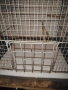 Метална клетка за птиче, снимка 3