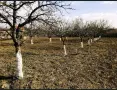 Имот - УПИ с. Комощица, снимка 5