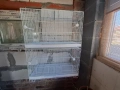 клетка за амадини,канари,финки, снимка 2