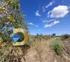 Парцел в село Ястребово, общ. Опан, снимка 1
