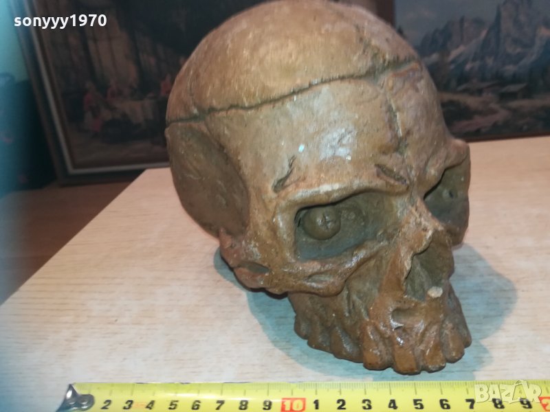 масивен череп 20см 1003210837, снимка 1