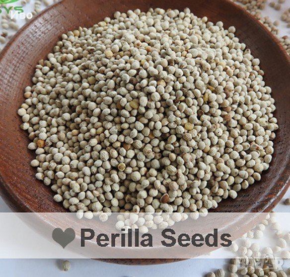 Бяла перила , снимка 1