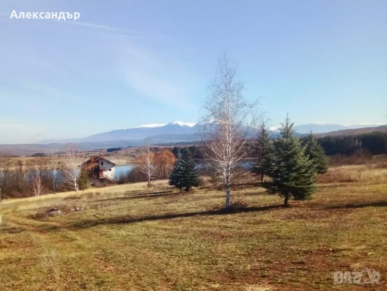 Лозя на 80 км от София, снимка 1