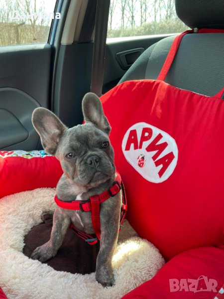 Столче за кола за куче, снимка 1