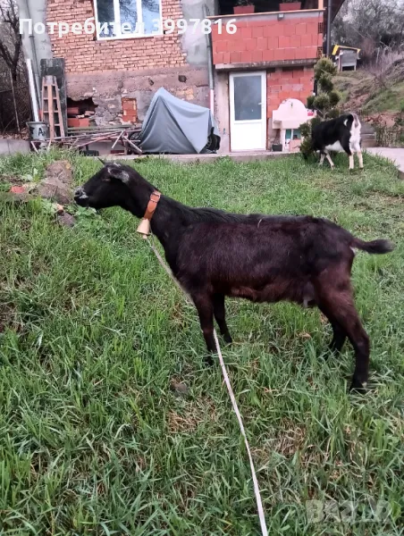 Продавам , снимка 1