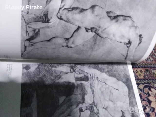 учебник по рисуване , снимка 3 - Учебници, учебни тетрадки - 54115933