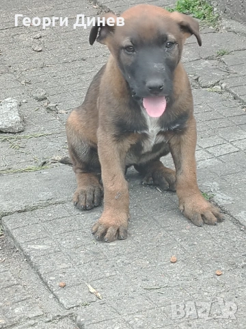 Женско със ваксина!! 