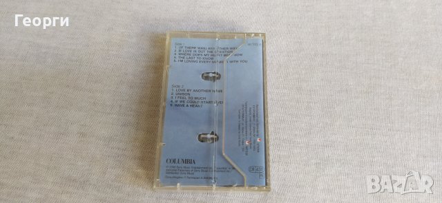 Celine Dion - Unison , снимка 2 - Аудио касети - 36581639