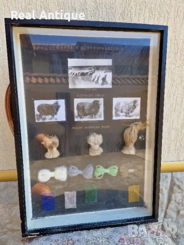 Стар страхотен антикварен постер табло макет, снимка 2 - Други ценни предмети - 47364072