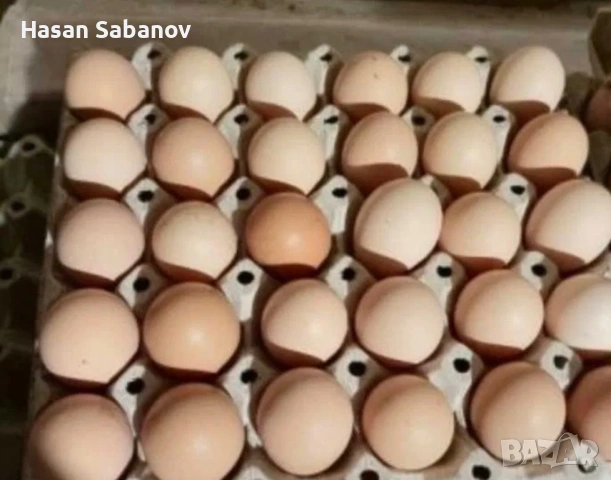 Пресни домашни яйца от щастливи кокошки, снимка 3 - Кокошки и пуйки - 53936872