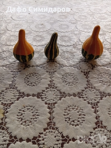 декоративни кратунки , снимка 4 - Декорация за дома - 52193734