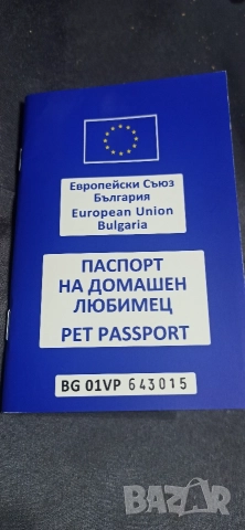 Американско Були (Лео), снимка 5 - Други - 52643138