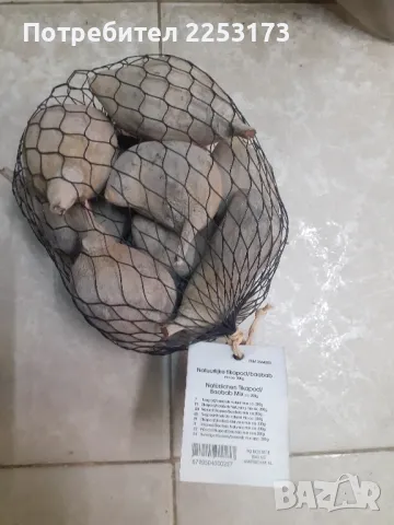 Пакети сушен баобаб и други  за декор, снимка 1