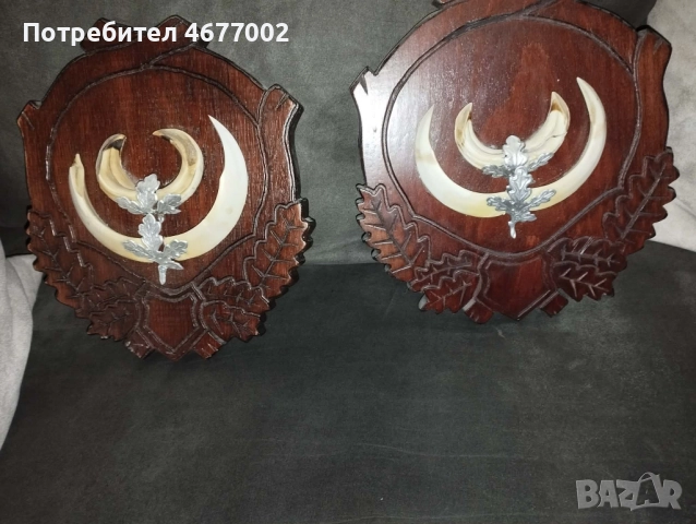 Глиги от диво прасе, снимка 4 - Антикварни и старинни предмети - 52828264