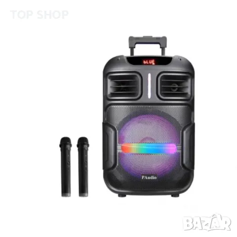 Караоке Тонколона WYNGR BT-1200 12 инча