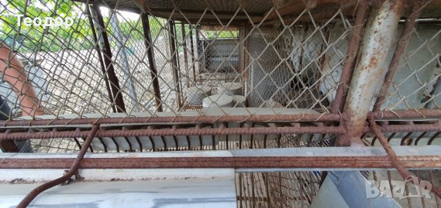 Зайчарници с.Скутаре, Пловдивско, снимка 10 - За селскостопански - 38820961