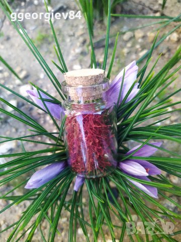 Български шафран 1-во качество, снимка 6 - Хранителни добавки - 37502196