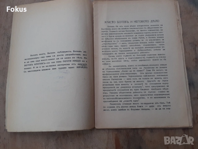 Стара царска книжка книга Христо Ботев критик, снимка 3 - Антикварни и старинни предмети - 54295115