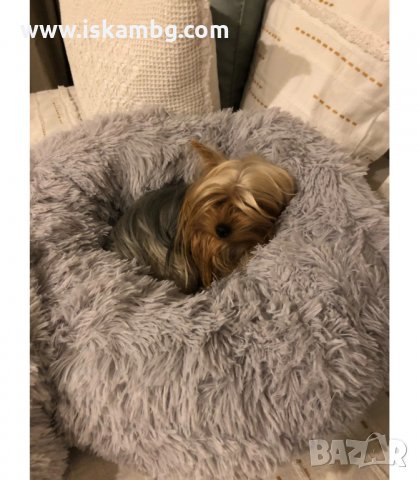 МЕКО ПУХЕНО ГНЕЗДО ЛЕГЛО ЗА КУЧЕ ИЛИ КОТКА, УДОБНО ЗА МАЛКИ И ГОЛЕМИ ЖИВОТНИ - КОД 3164, снимка 8 - Други стоки за животни - 33888803