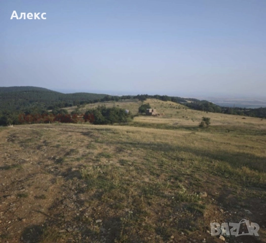 Парцел УПИ село Кошарица, снимка 2 - Парцели - 52929796