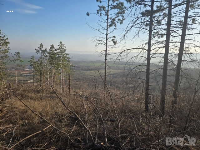 Парцел в кв.Дивдядово
