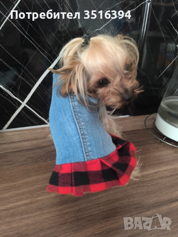 Дрехи за малки кучета, снимка 9 - За кучета - 52323853