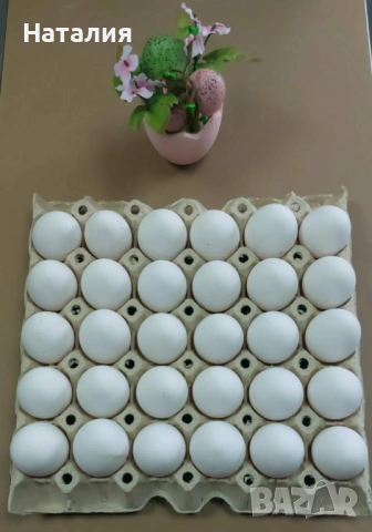 Яйца Л - бели и кафяви