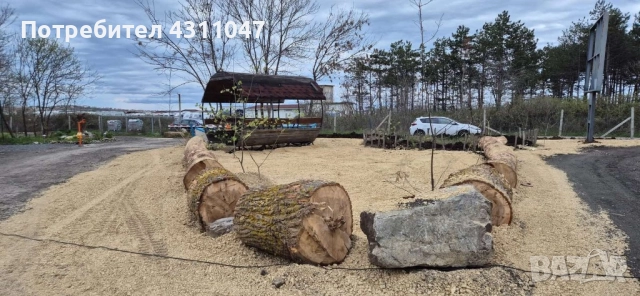 Бунгала на къмпинг Созопол еко , снимка 10 - Квартири, нощувки - 52934013