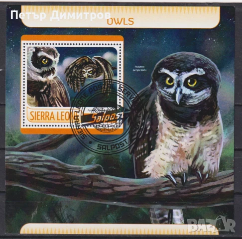 Клеймовани блокове Фауна Птици Сови 2017 от Сиера Леоне, снимка 2 - Филателия - 51329327