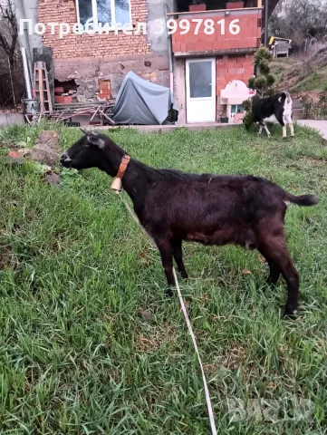 Продавам , снимка 1