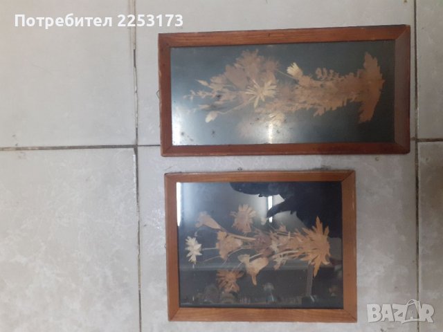 Пано хербарий в рамка лот, снимка 3 - Декорация за дома - 34860551