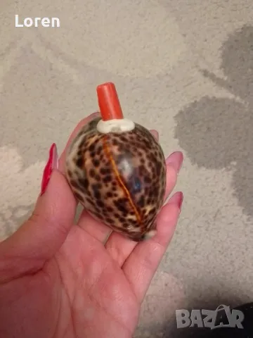 Интересен рапан леопард направен като свирка, снимка 3 - Други - 47967232