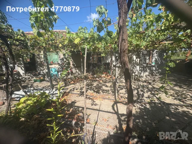 Къща в с.Радиево, снимка 6 - Къщи - 56091675