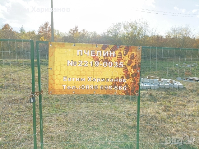 100% Пчелен мед от собствен пчелин, снимка 4 - Пчелни продукти - 52638726