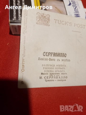 Серравалло стара пощенска картичка Триестъ Австрия , снимка 5 - Антикварни и старинни предмети - 51851336