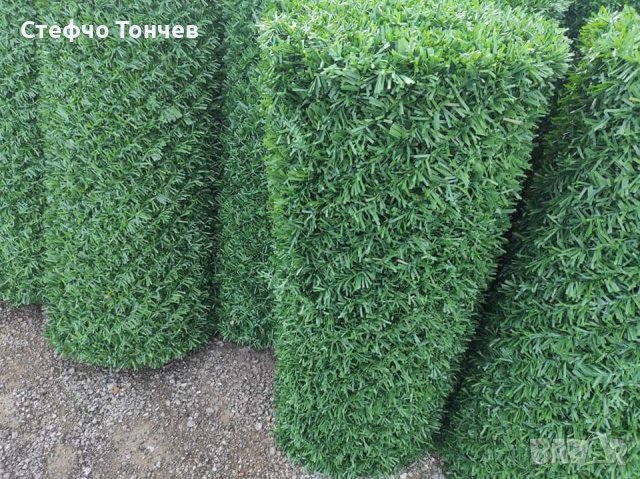 Декоративна оградна мрежа. Най-добри цени., снимка 9 - Строителни материали - 42288659