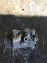 Компресор за климатик Денсо за Opel Zafira 447220-8130, снимка 1