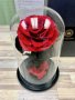 Светеща Вечна Роза в Стъкленица от Красавицата и Звяра Страхотен Подарък за Жени Свети Валентин, снимка 2
