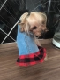 Дрехи за малки кучета, снимка 9