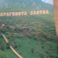 Драговита Златна, Цветко Иванов, снимка 3 - Специализирана литература - 31562979
