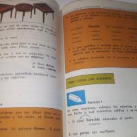 Книга, учебник по испански - Mi Idioma Y Yo, снимка 9 - Учебници, учебни тетрадки - 44720720