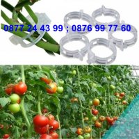 50 броя щипка - клипс за подържане на домати и растения - КОД 3691, снимка 11 - Други - 36674902