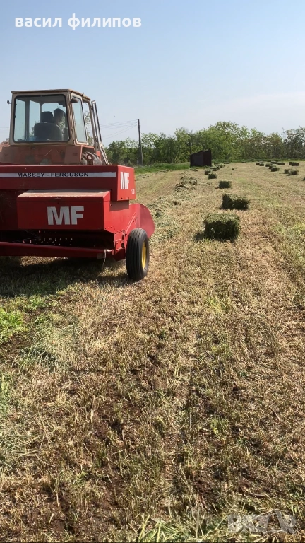 Люцерна , снимка 1