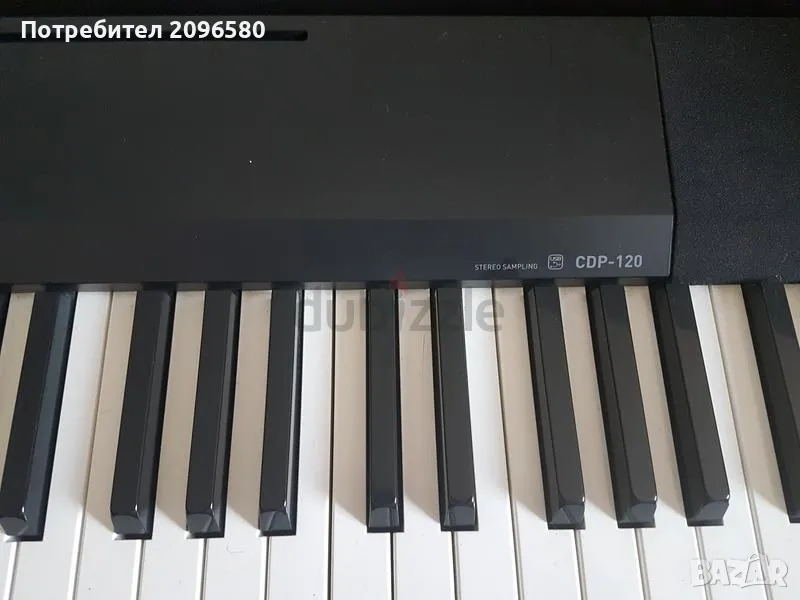 Частни Уроци по Цигулка, Пиано, Виола, снимка 1