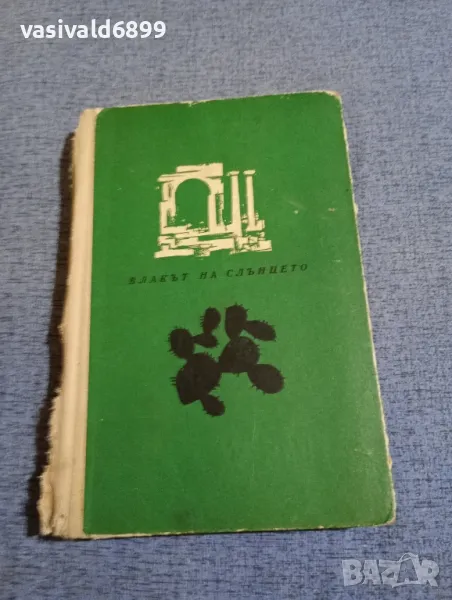 Рене Реджани - Влакът на слънцето , снимка 1