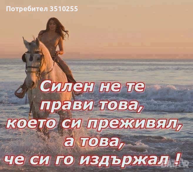 лесни любови ритуали , снимка 1